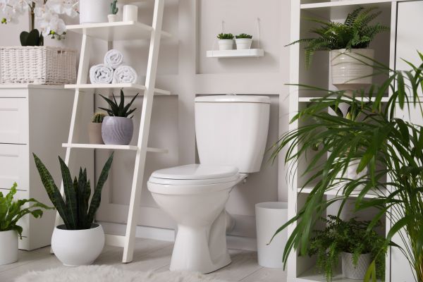 Toilet Repair in Henderson