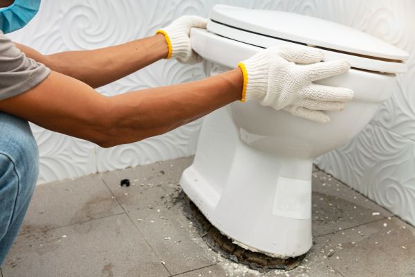 Cost of Toilet Removal in Henderson